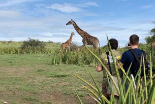 Tanzania. Safari diferente en campos de lujo