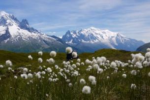 Un trekking sencillo por los miradores del Mont Blanc