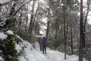 Raquetas de Nieve en Bulgaria  Macizos de Pilin y Rila