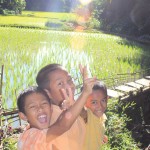 mar_verde_ninos_arrozal_tana_toraja_indonesia