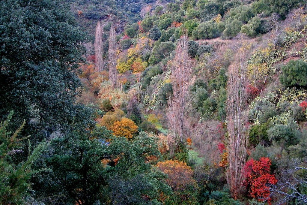 Valle del Genal viajes fotográficos por España