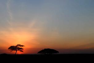 Safari Amanecer en África