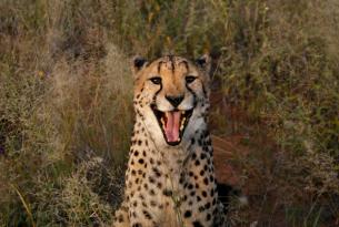 Namibia con Etosha en grupo