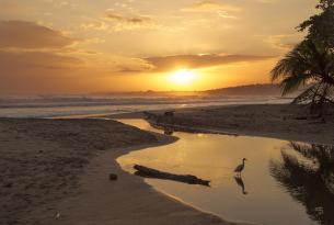 Selvas, playas y volcanes de Costa Rica