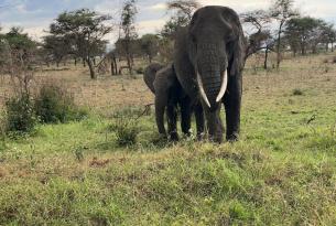 Ruta Aventura en África Oriental