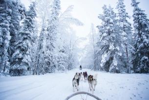 Finlandia: el País de los 1000 Lagos