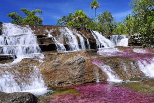 Caño cristales: el rió más hermoso de Colombia