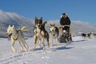 Finlandia. Husky aventura en Laponia