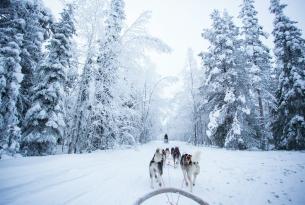 Viaje a Laponia: Fin de Año 2024-25