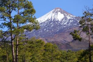 Tenerife: Vacaciones singles