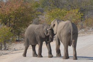 Okavango, la última frontera