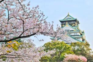 Japón: Tiempo de Hanami