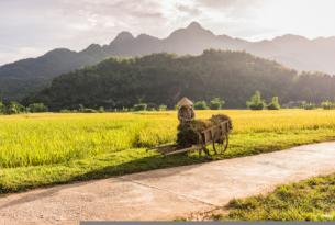 Vietnam: Fin de Año 2024 en Hoi an, la ciudad más bonita de Vietnam
