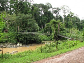 Circuitos por Borneo