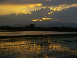 Rutas por Delta del Ebro que ya no están disponibles