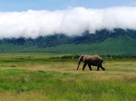 Circuitos por Ngorongoro