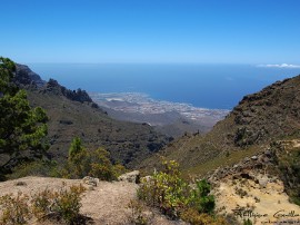 Circuitos por Playa de las Américas