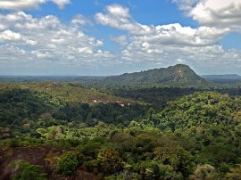 Circuitos por Surinam
